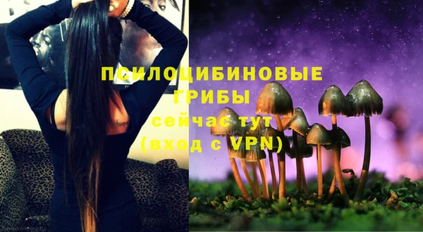 гидропоника Бронницы