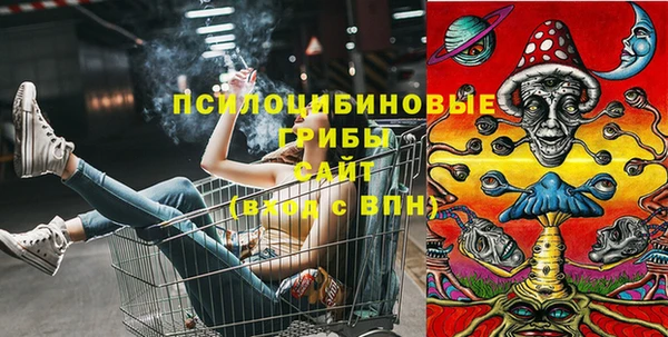 амф Богданович